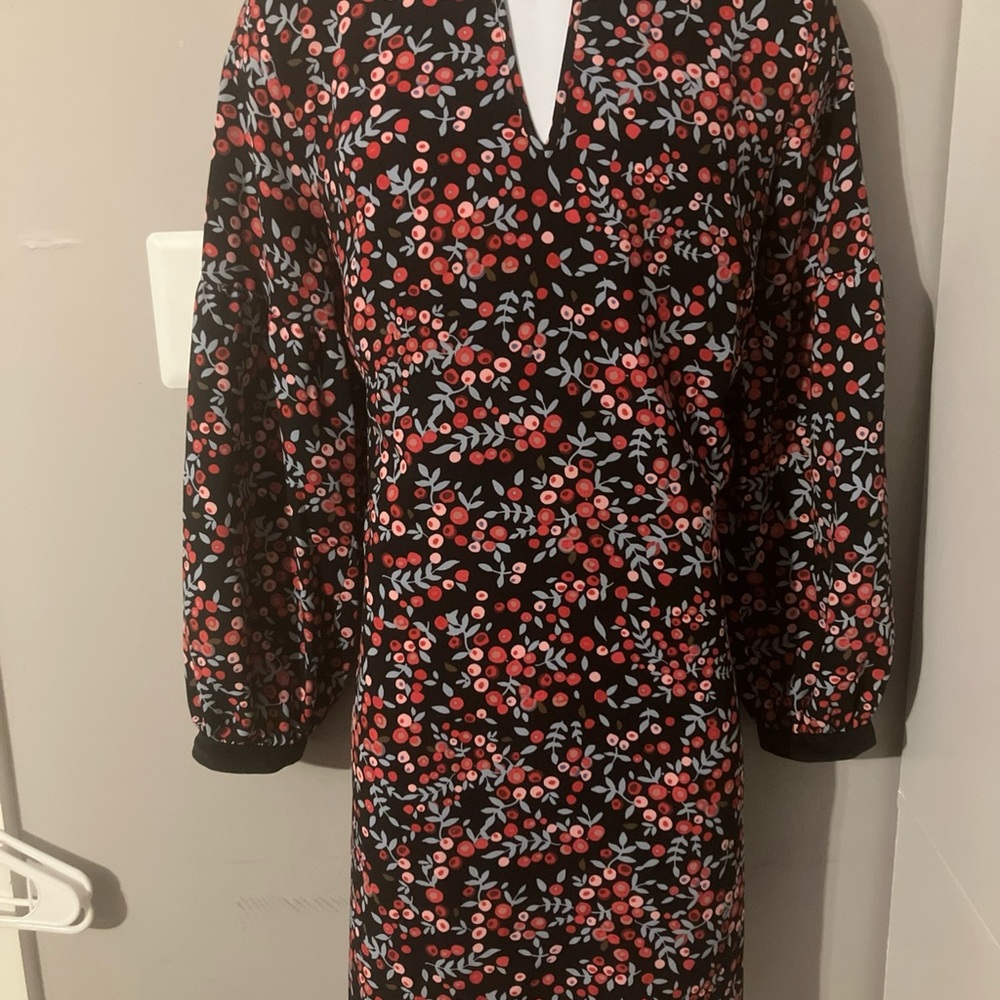 Loft Chic Floral Long Sleeve Dress in Black and Red